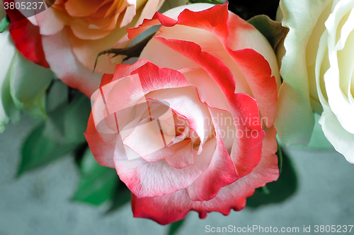 Image of A bouquet of roses on light green background.