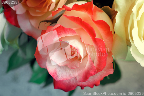 Image of A bouquet of roses on light green background.