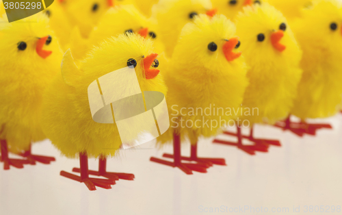 Image of Abundance of easter chicks, selective focus