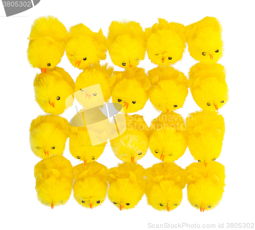 Image of Abundance of easter chicks, top view