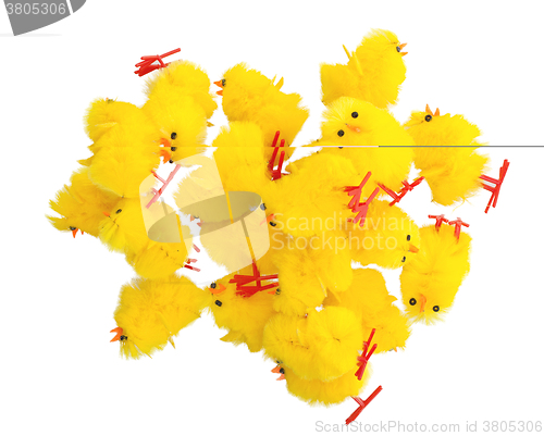Image of Abundance of easter chicks, top view