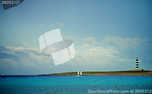 Image of Idyllic Summer Seascape