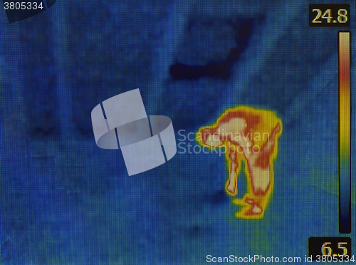 Image of Person Infrared
