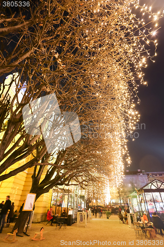 Image of Illuminated trees in Zagreb