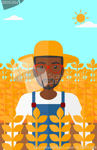 Image of Man in wheat field.