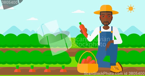 Image of Farmer collecting carrots.