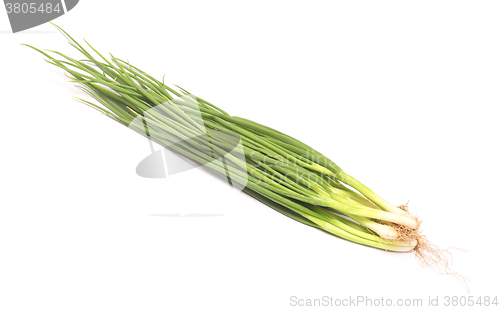 Image of fresh green onion
