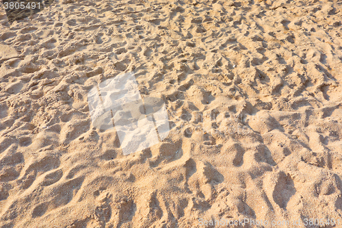 Image of sand beach texture
