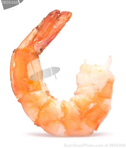 Image of grilled shrimp on white