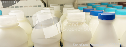 Image of milk bottles on shelf