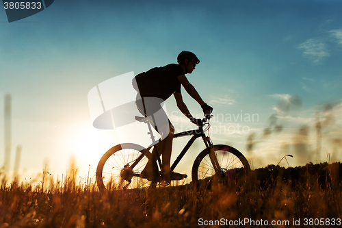 Image of Rider on Mountain Bicycle it the field