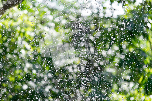 Image of rain drop background