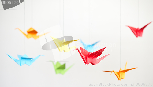 Image of origami crane birds