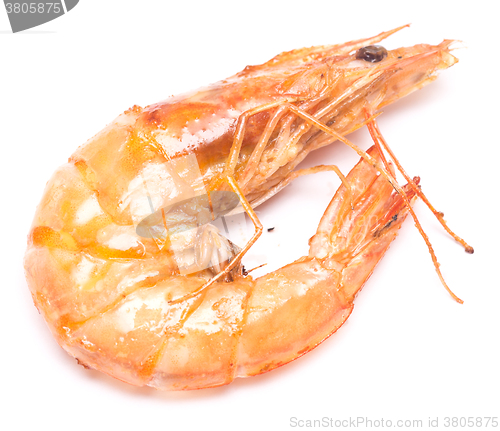 Image of king grilled shrimp