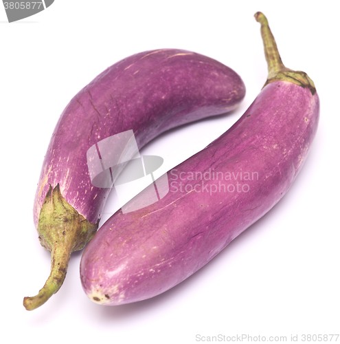 Image of two eggplants on white