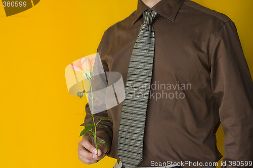 Image of Businessman with a rose