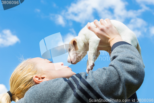 Image of Mixed-breed cute little puppy petting.