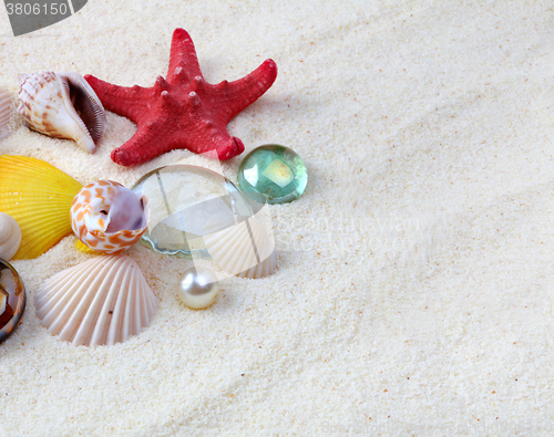 Image of sea shells on sand