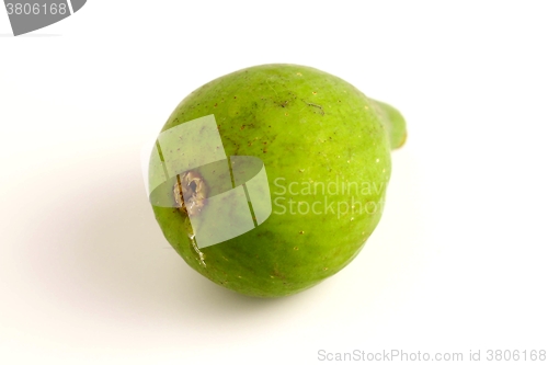 Image of Green Fig