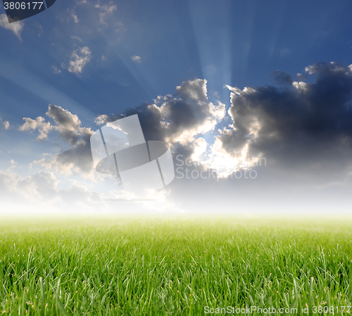 Image of green grass under blue sky