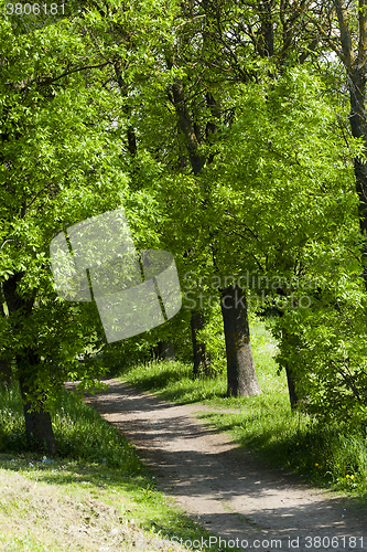 Image of Spring road . countryside 
