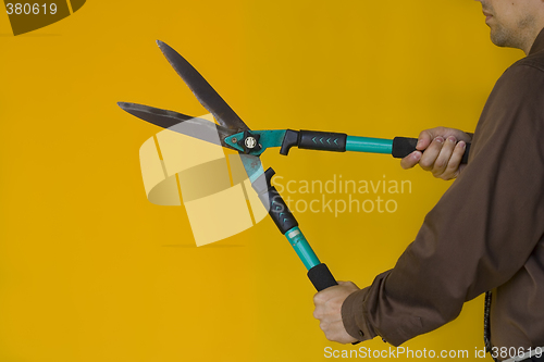 Image of Man Cutting