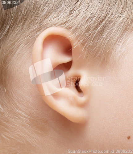 Image of baby ear