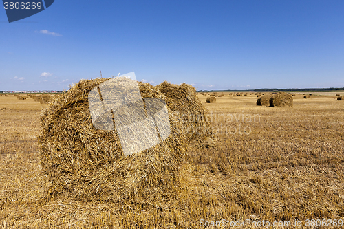 Image of stack of straw in the field  