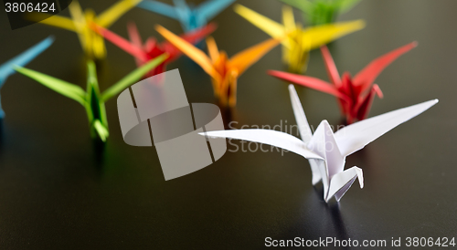 Image of origami crane birds