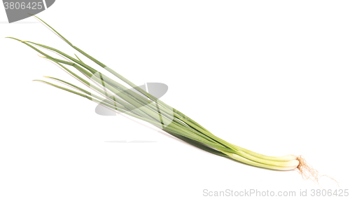 Image of fresh green onion