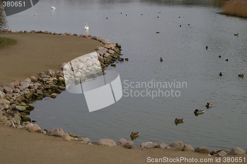 Image of Pond