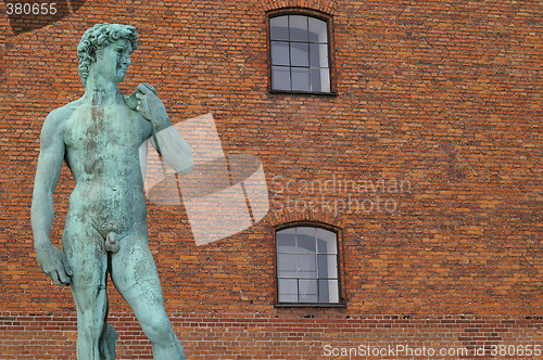 Image of David in Copenhagen