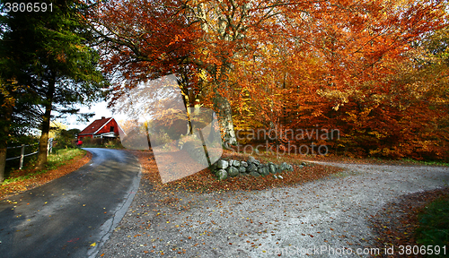 Image of Ravnsholt Skov forest in  Alleroed Denmark