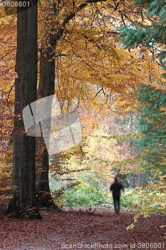 Image of Man walking