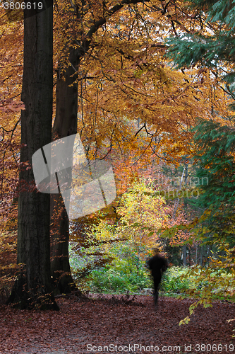 Image of Man walking