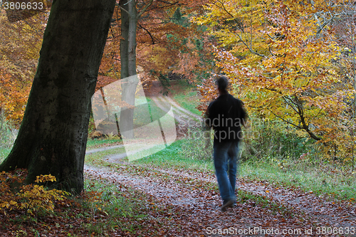 Image of Man walking