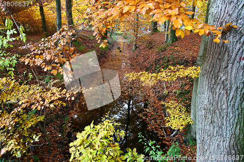 Image of Ravnsholt Skov forest in  Alleroed Denmark