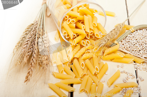 Image of Italian pasta penne with wheat