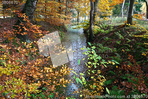 Image of Ravnsholt Skov forest in  Alleroed Denmark