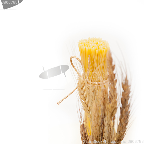 Image of organic Raw italian pasta and durum wheat 