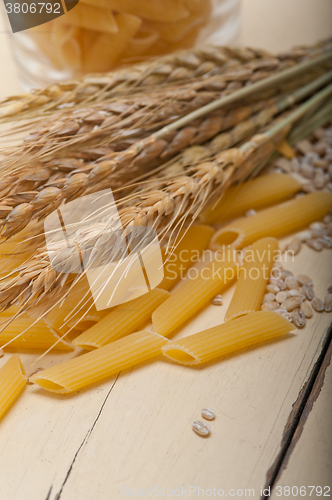 Image of Italian pasta penne with wheat