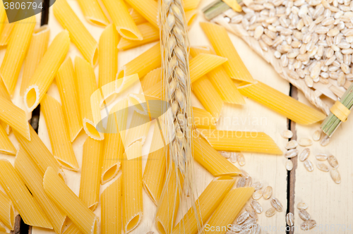 Image of Italian pasta penne with wheat