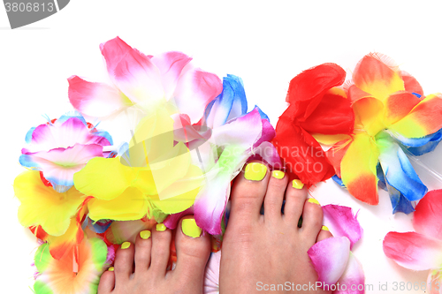 Image of nice legs with pedicure