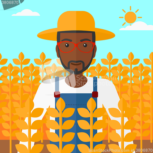 Image of Man in wheat field.