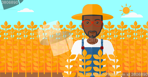 Image of Man in wheat field.