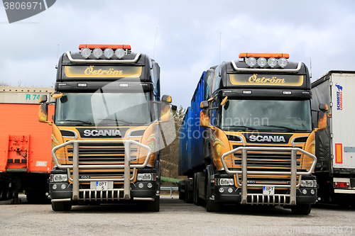 Image of Two Colorful Scania R560 Trucks 