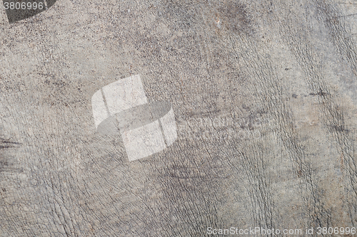 Image of rhino skin texture