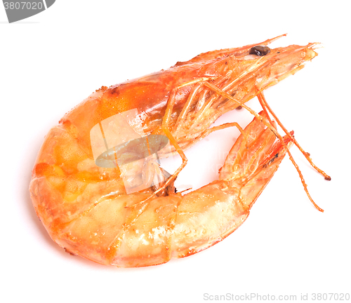 Image of king grilled shrimp