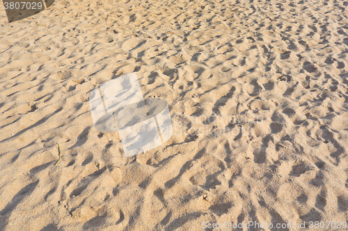 Image of sand beach texture 