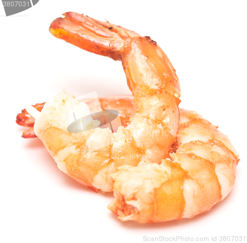 Image of grilled shrimp on white